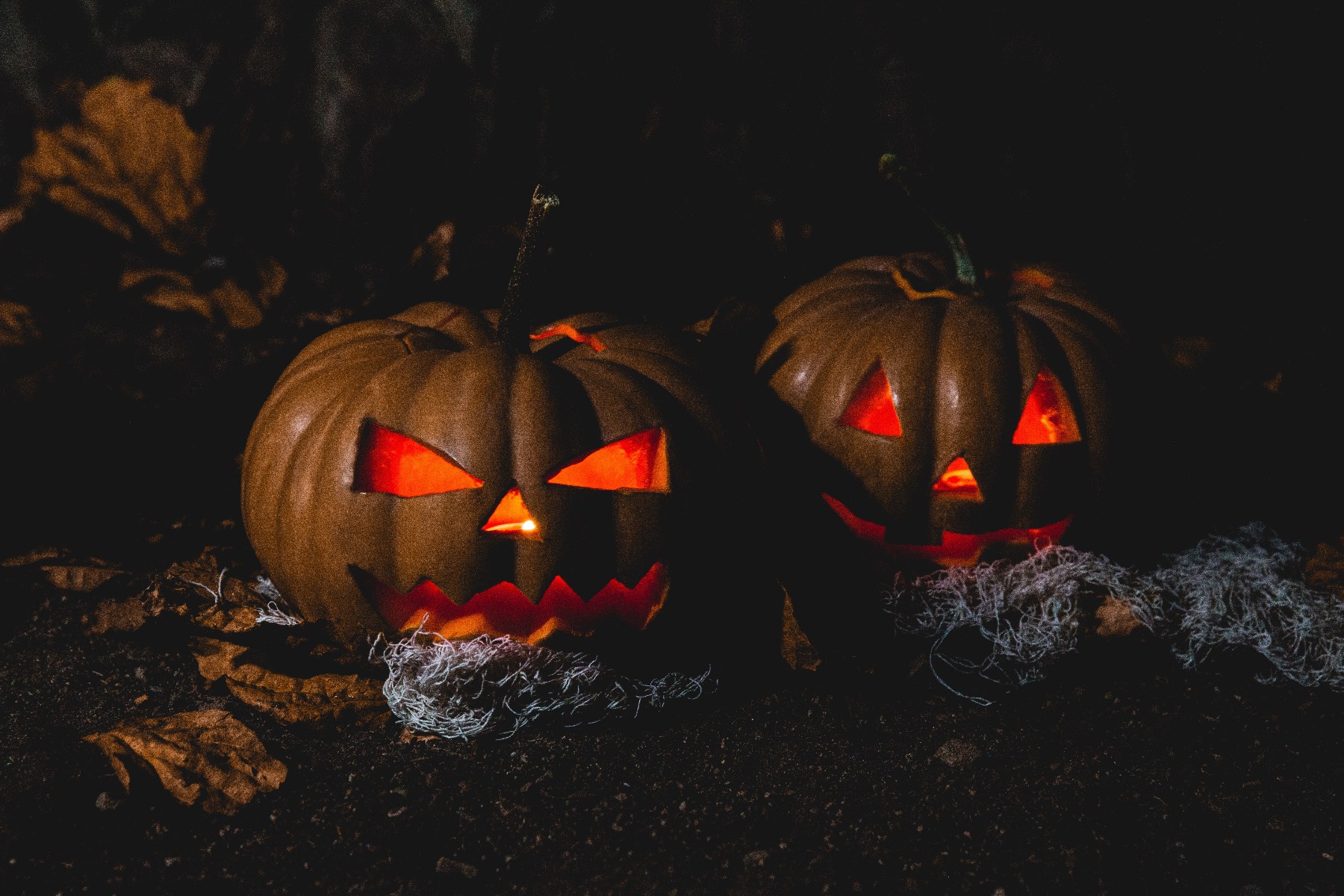 Citrouilles d’halloween Citrouilles d’halloween