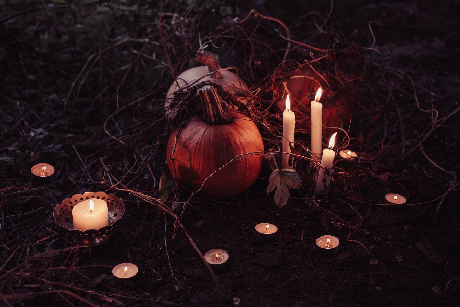 Citrouilles Halloween Citrouilles Halloween