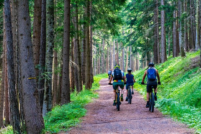 homme en vtt dans les montagnes pour son activité EVG homme en vtt dans les montagnes pour son activité EVG