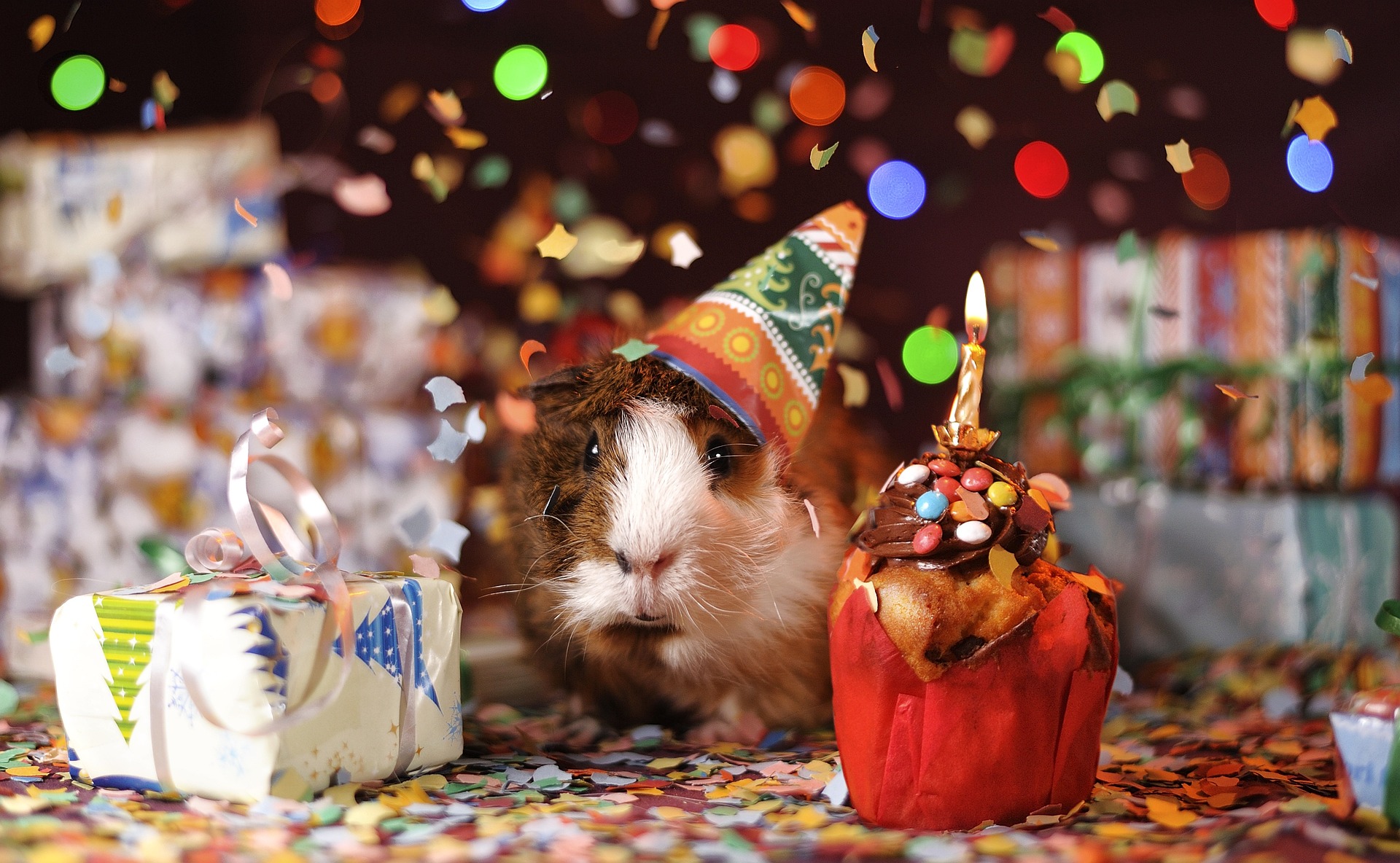 Anniversaire orignal