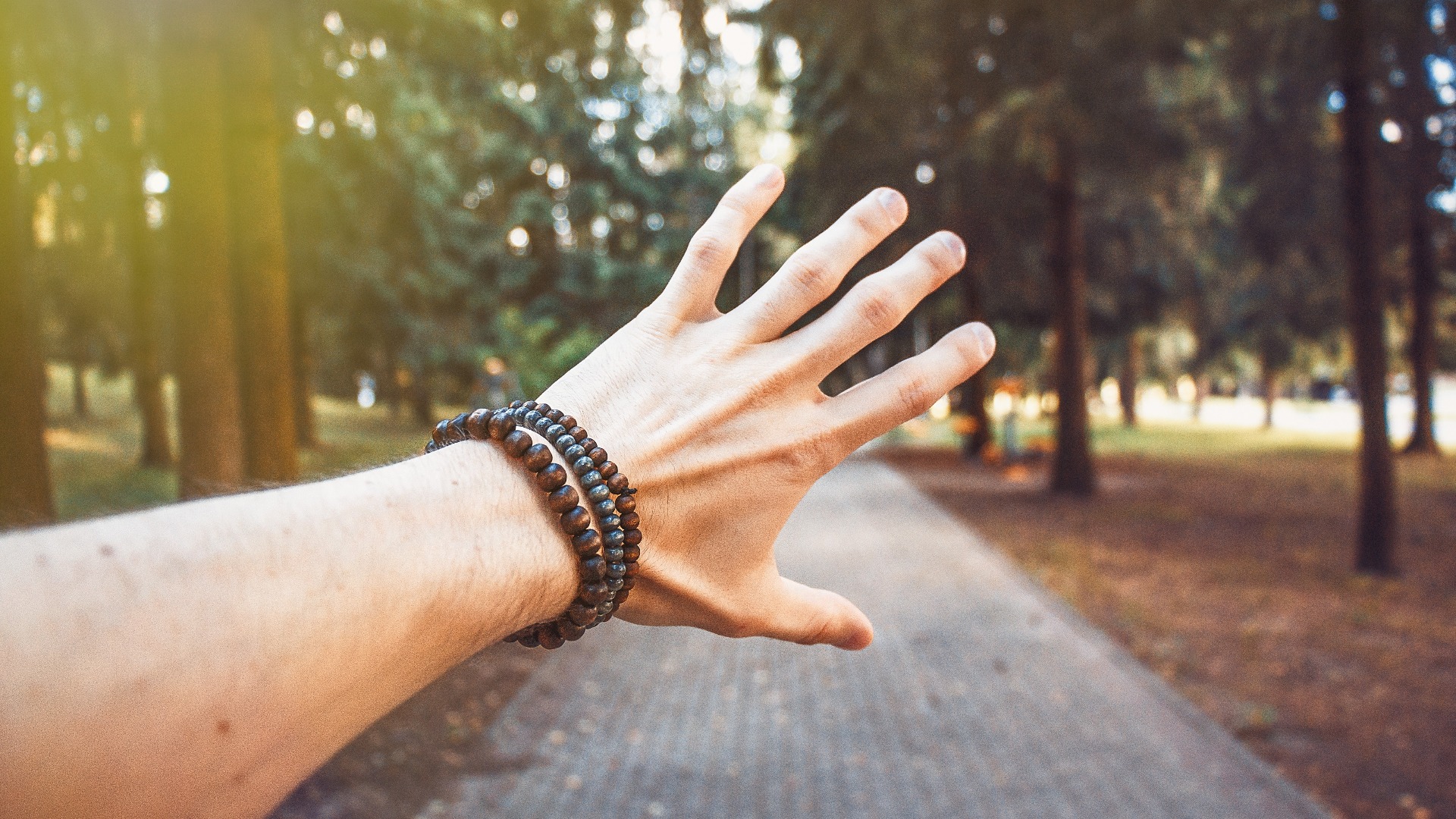 Bracelet Bracelet
