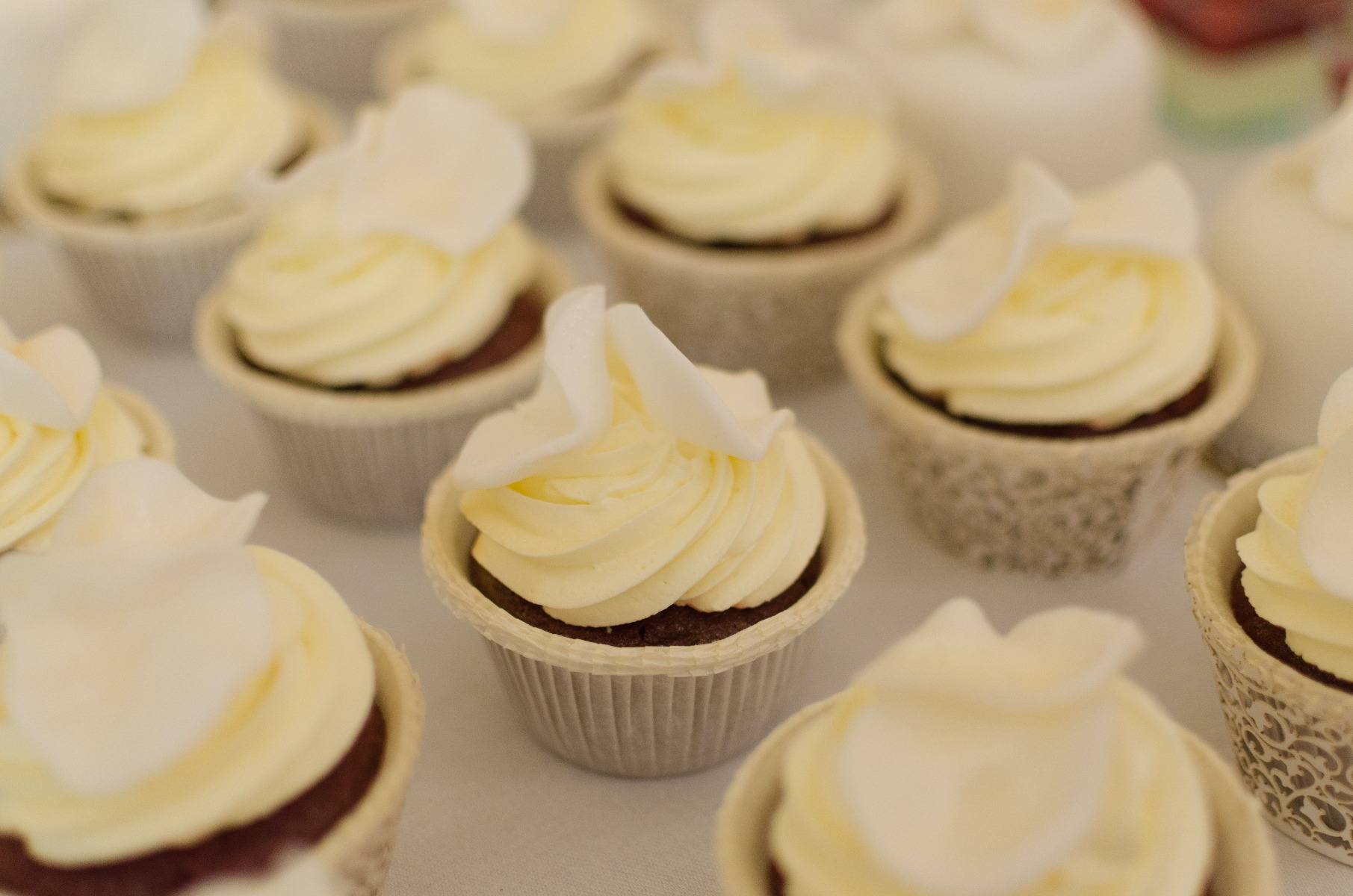 Cupcakes Cupcakes