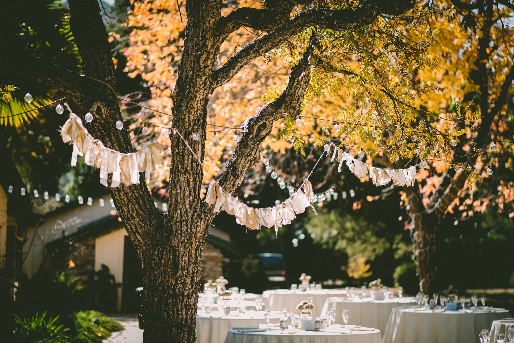 garden_party