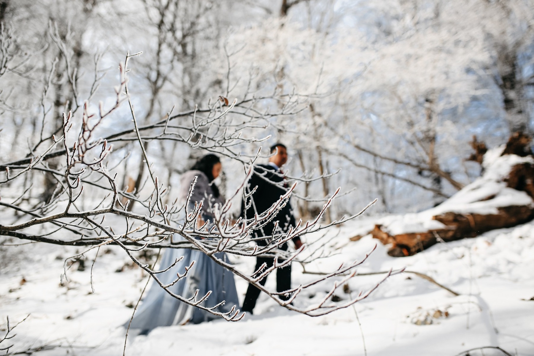 Une photo originale dans la neige Une photo originale dans la neige