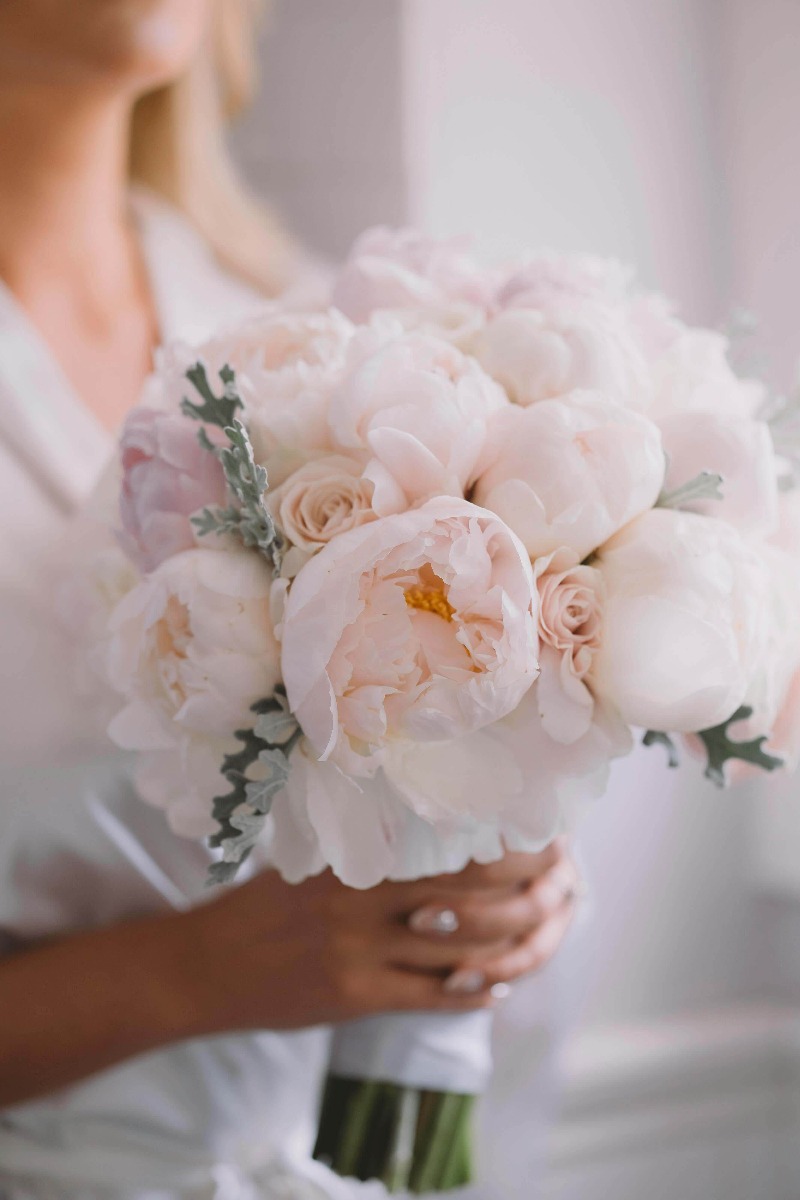 signification des pivoines blanches à un mariage signification des pivoines blanches à un mariage