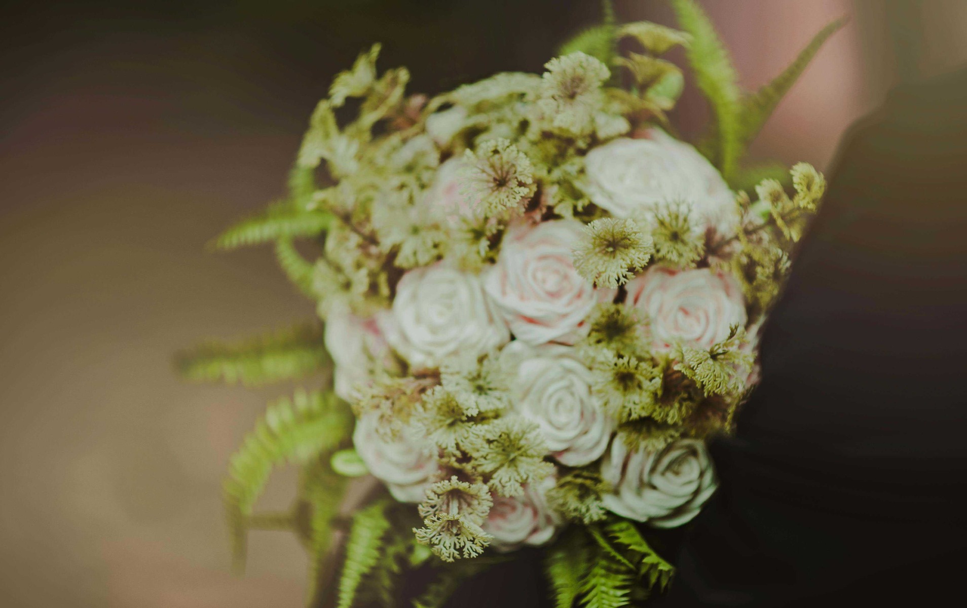 signification des roses blanches à un mariage signification des roses blanches à un mariage