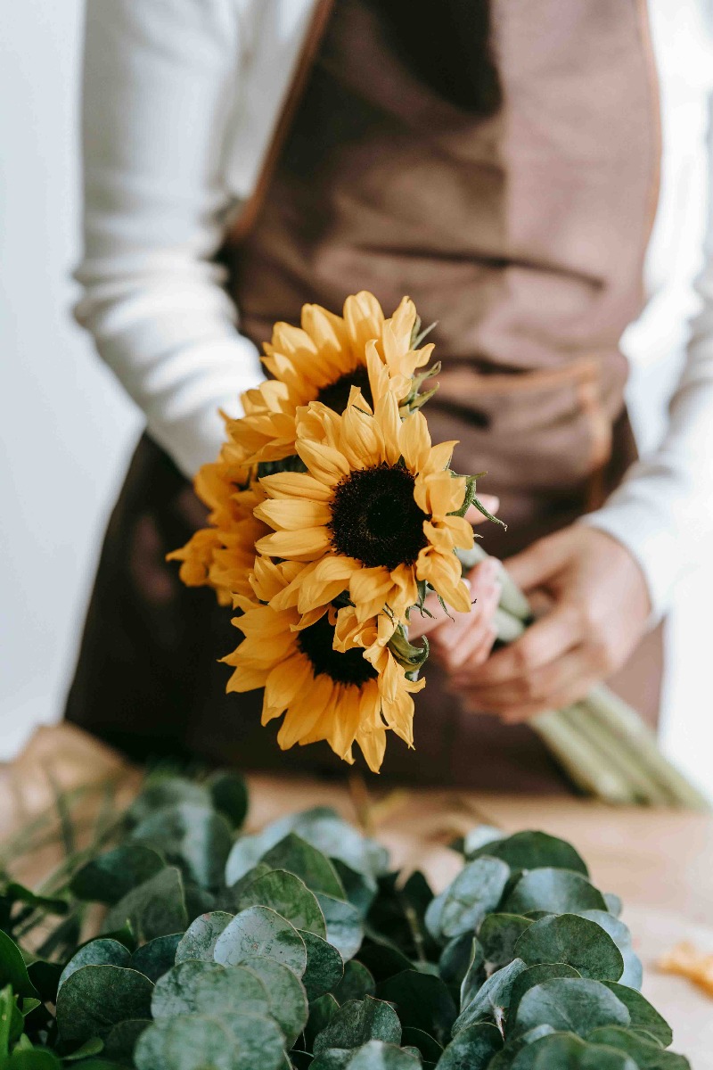 signification fleurs tournesol à un mariage signification fleurs tournesol à un mariage